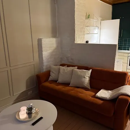 Apartment Cozy Center For 3 Pepole Tromso
